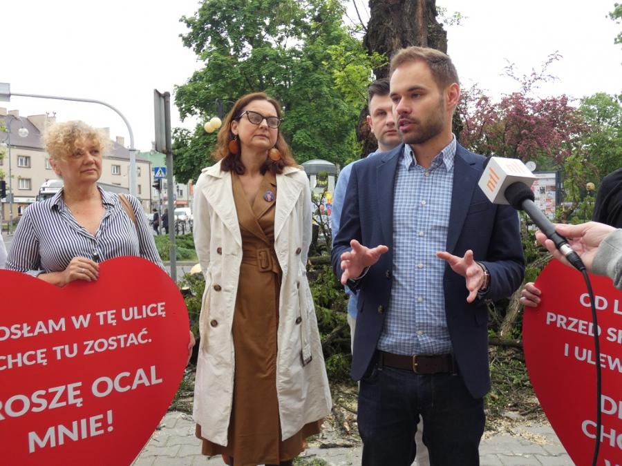 Dawid Wawryka: w radzie miasta nie ma nikogo, kto broniłby drzew [Wideo]