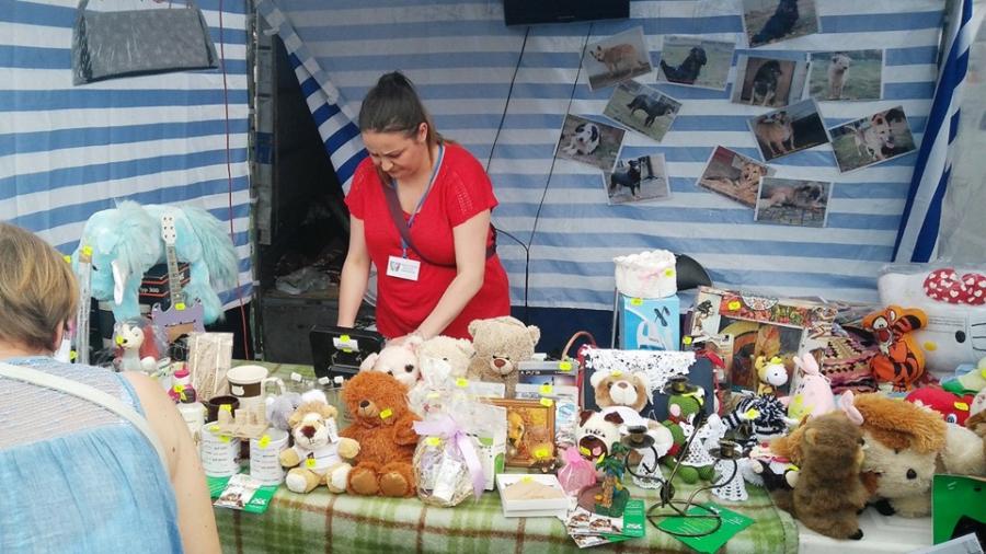 Udany kiermasz dla schroniska dla bezdomnych zwierząt. Zebrano 1200 zł