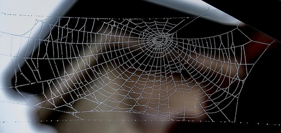 W sieci powiązań: praca tylko po znajomości, obcym wstęp wzbroniony.