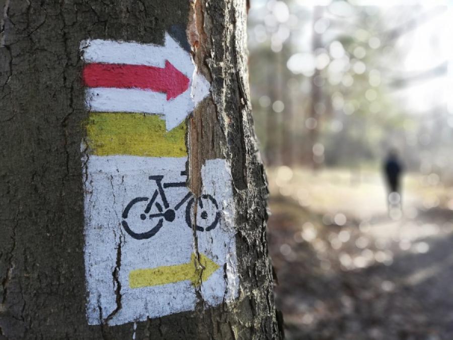 Mapy, kompasy i 5 punktów specjalnych: MOSiR zaprasza na jazdę na orientację