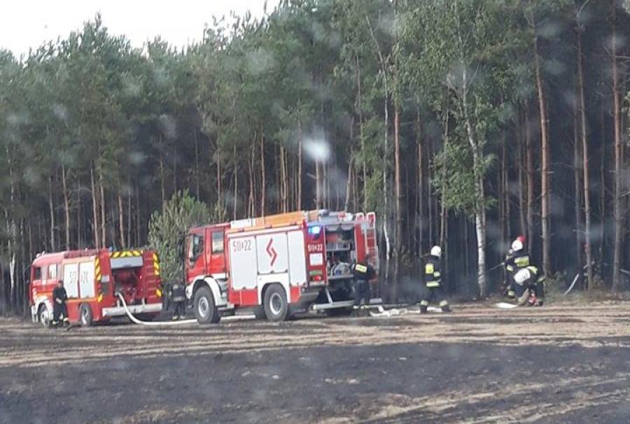 Pożar zboża, słomy i leśnego poszycia w gminie Masłowice