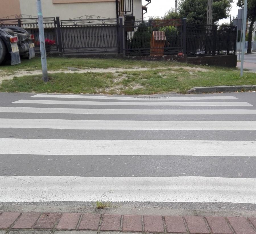 Przejście dla pieszych wprost na trawnik. Czy pieszy ryzykuje mandat?