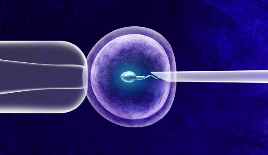 Co dalej z in vitro w Radomsku? Pieniądze w budżecie są, programu jeszcze nie ma
