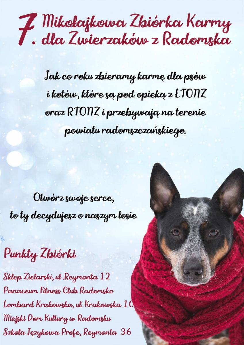 Siódma Mikołajkowa Zbiórka Karmy dla Zwierzaków z Radomska