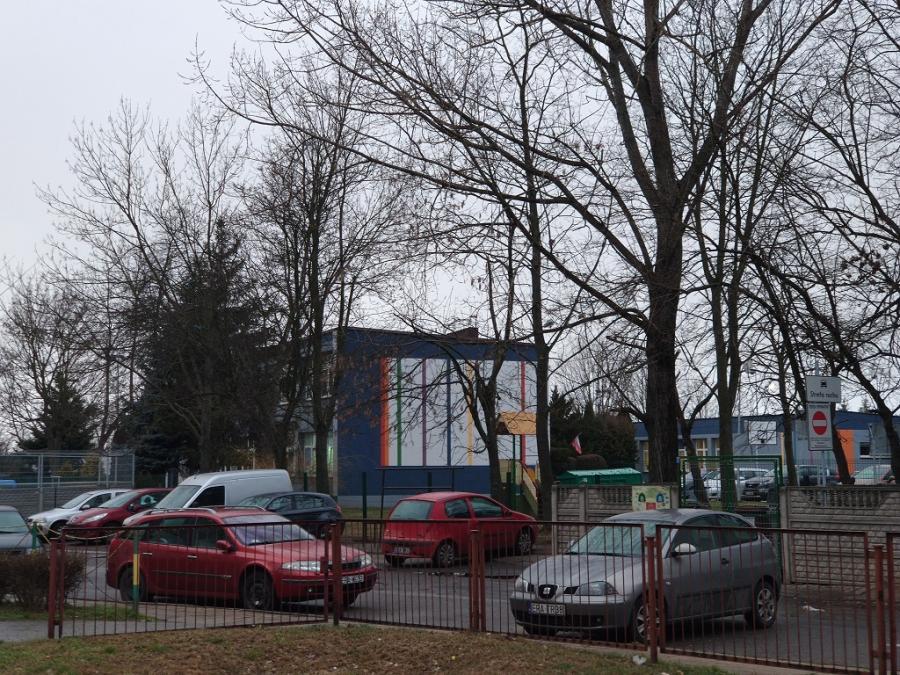 Dyrektor SOSW Katarzyna Morga: jestem ostatnią osobą, która wycięłaby zdrowe drzewo!