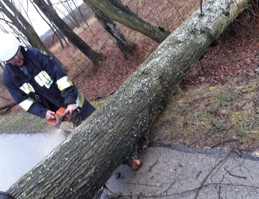 Powalone drzewo zablokowało drogę w Rędzinach w gm. Żytno