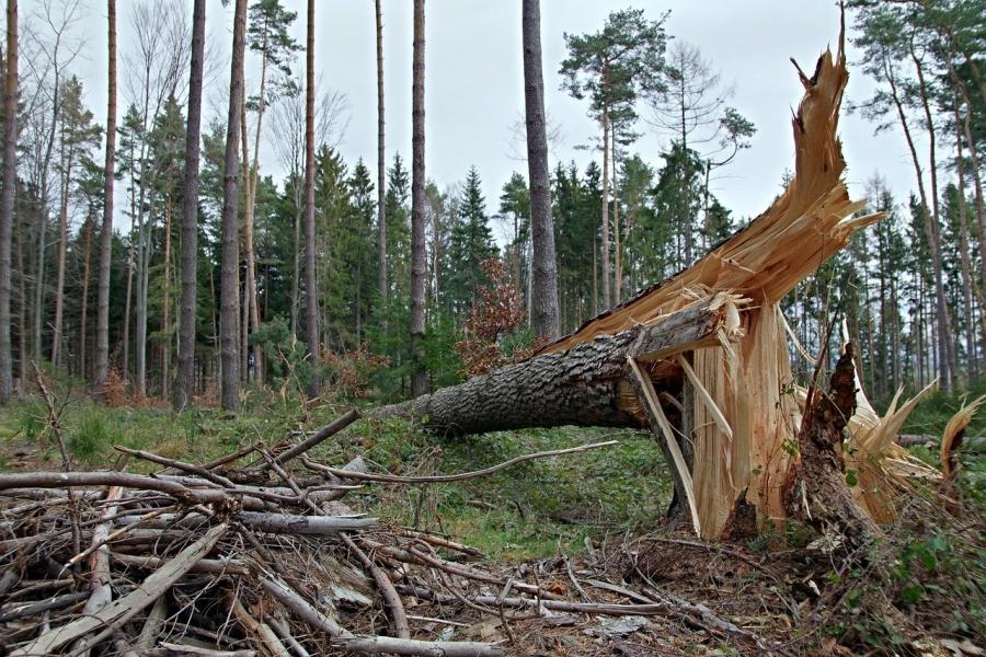 Ostrzeżenie o silnym wietrze powtórzone