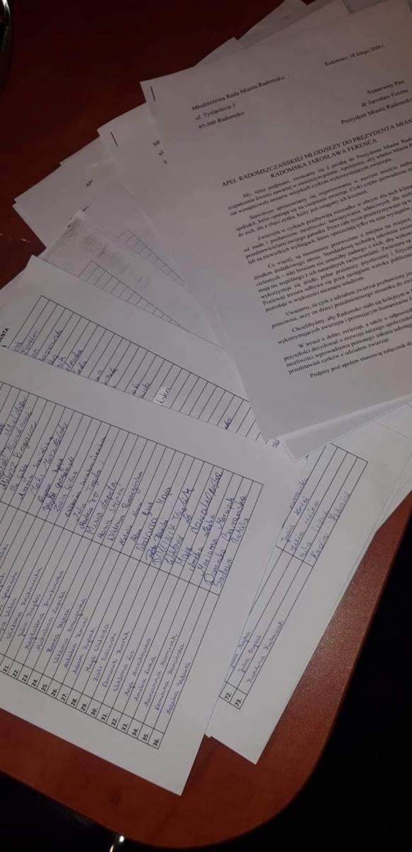 MRM: zebrali 1000 podpisów w sprawie cyrku bez udziału zwierząt