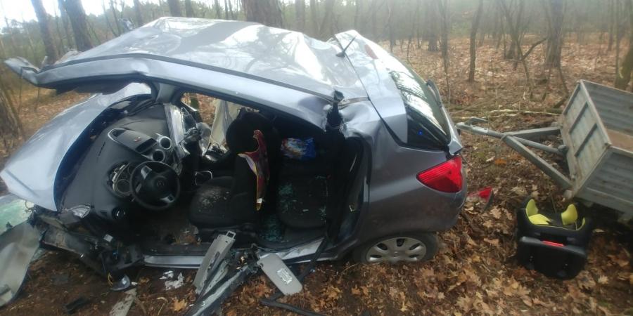 [ZDJĘCIA] 47-latek wyprzedzał kilka aut. Zjechał z drogi i uderzył w drzewo