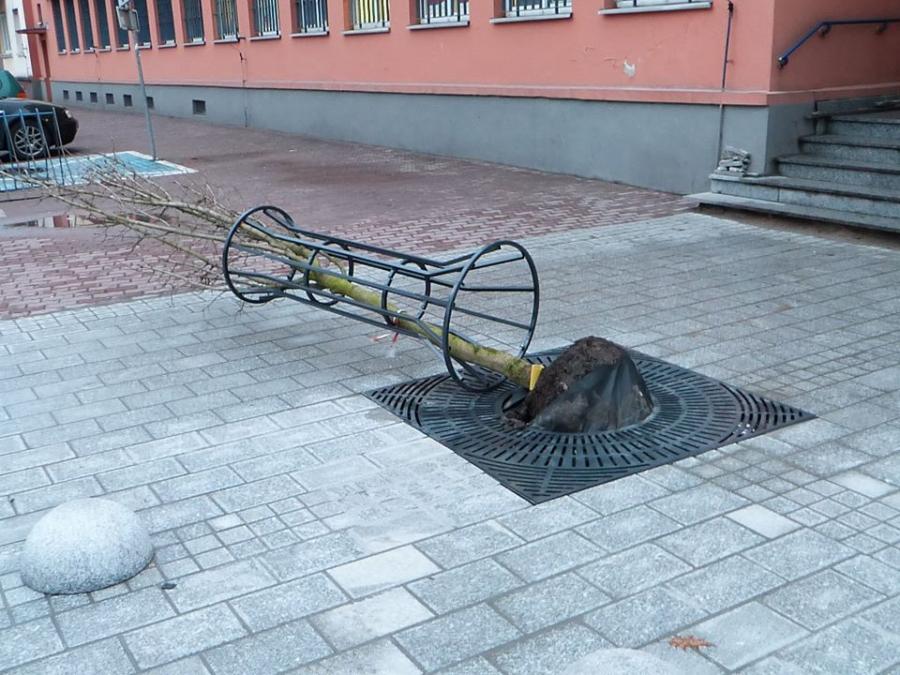 [ZDJĘCIA] Powiało. Zgodnie z zapowiedziami. I przewróciło to i owo