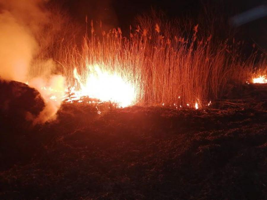 Kiedy przestaną wypalać trawy? Kolejne pożary nieużytków