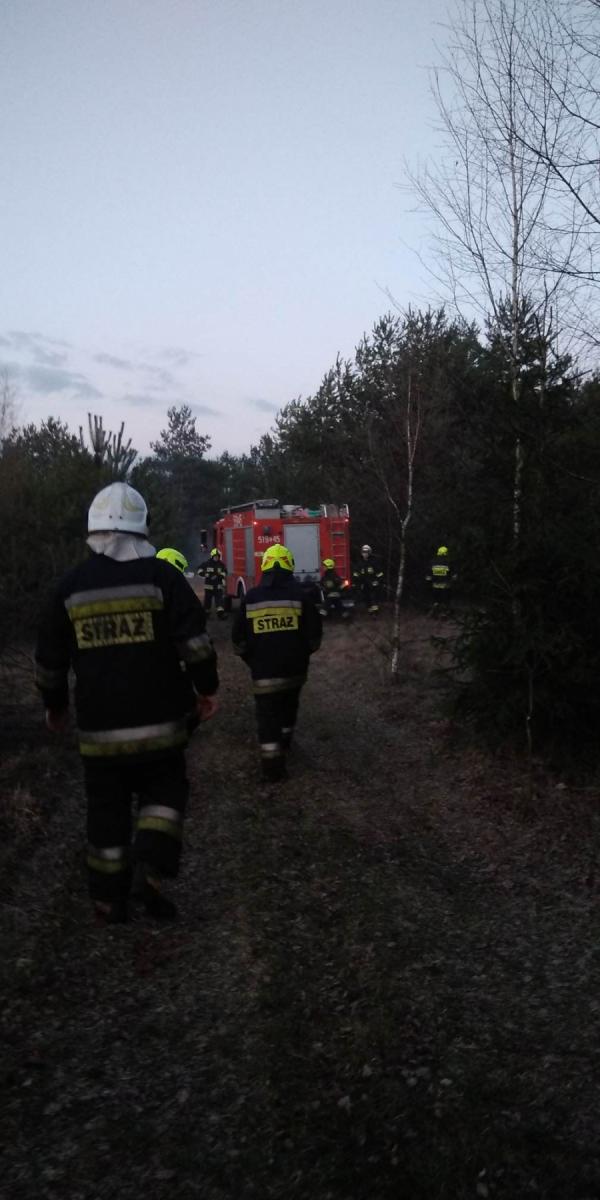 Do lasu wchodzić nie można, a pożary jakoś wybuchają