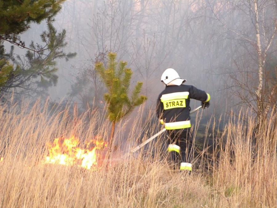 Pożar na Suchej Wsi. W lesie tak sucho, że wystarczy mała iskra
