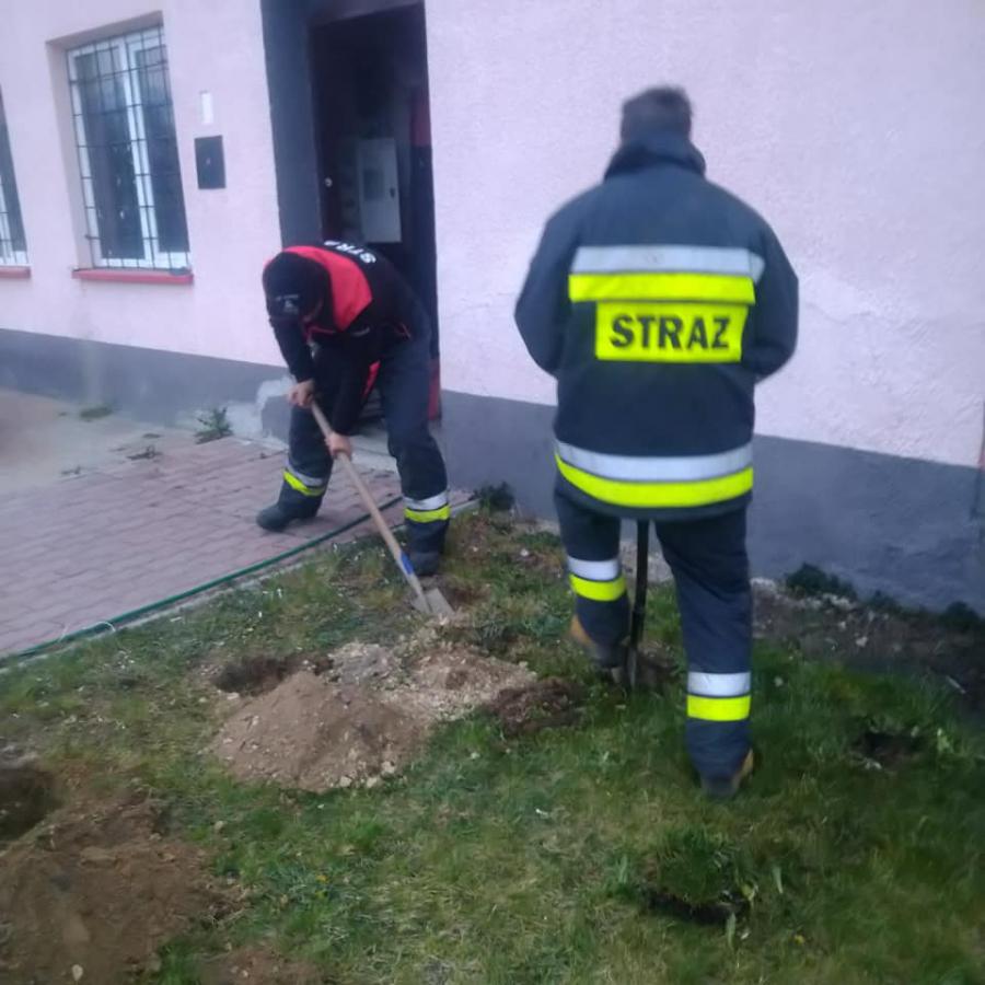 Strażacy z Wielgomłyn zorganizowali akcję „Zielono mi”