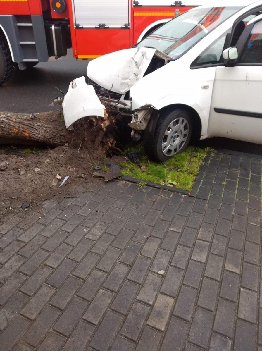 Samochód uderzył w drzewo. Za kierownicą nikogo nie było
