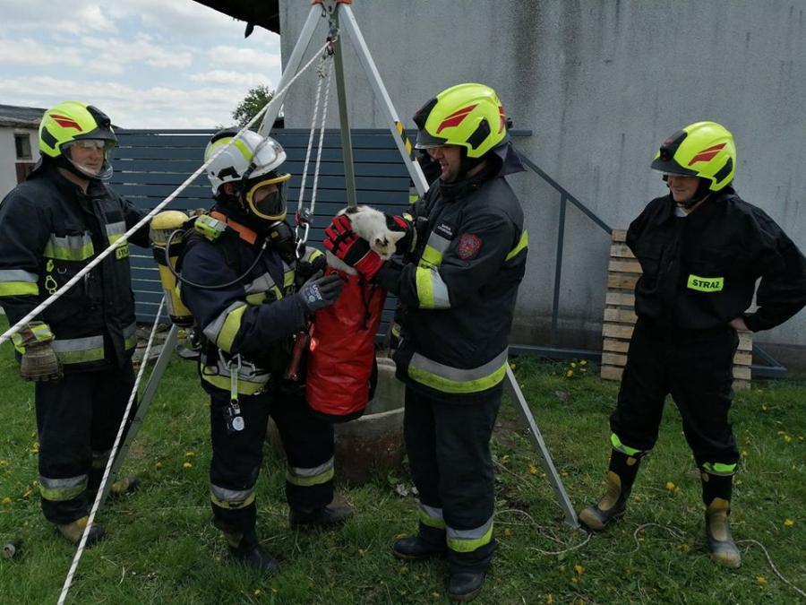 Kot wpadł do studni głębokiej na 20 metrów. Pomogli strażacy