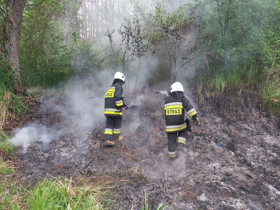 Do niektórych pożarów trzeba iść pieszo, bo dojechać się nie da