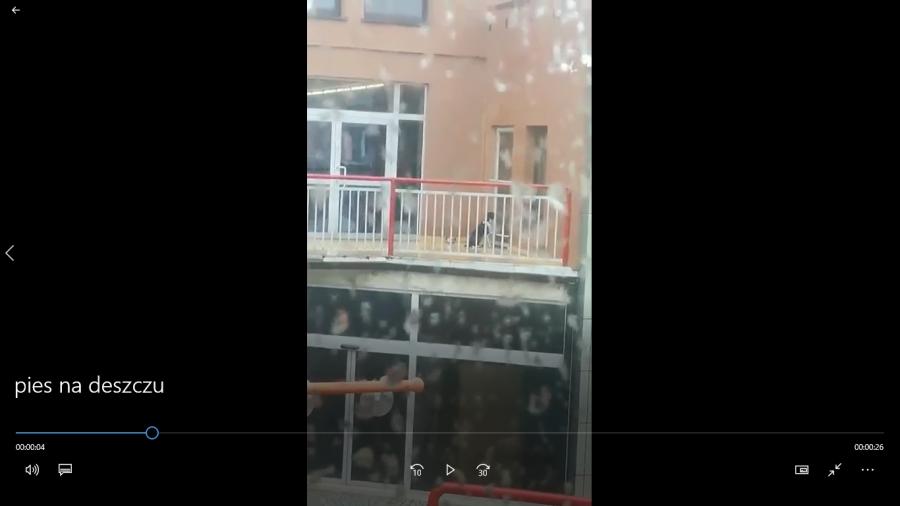 [WIDEO] Pies moknie na balkonie od kilku godzin. Właściciel ma wyłączony telefon