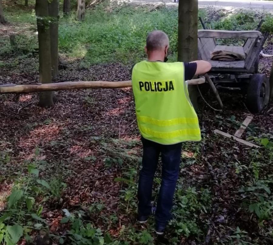 Śmierć 66-letniego woźnicy. Widziałeś, może nagrałeś, pomóż policji