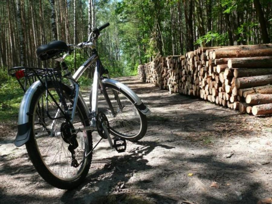 Nowa leśna trasa rowerowa: Z Radomska do Radomska przez leśnictwo Stobiecko