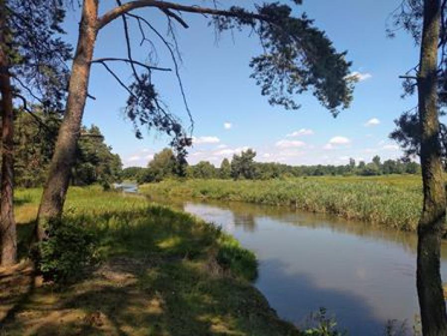 Od czwartku 30 lipca inspektorzy Wód Polskich mogą nakładać mandaty