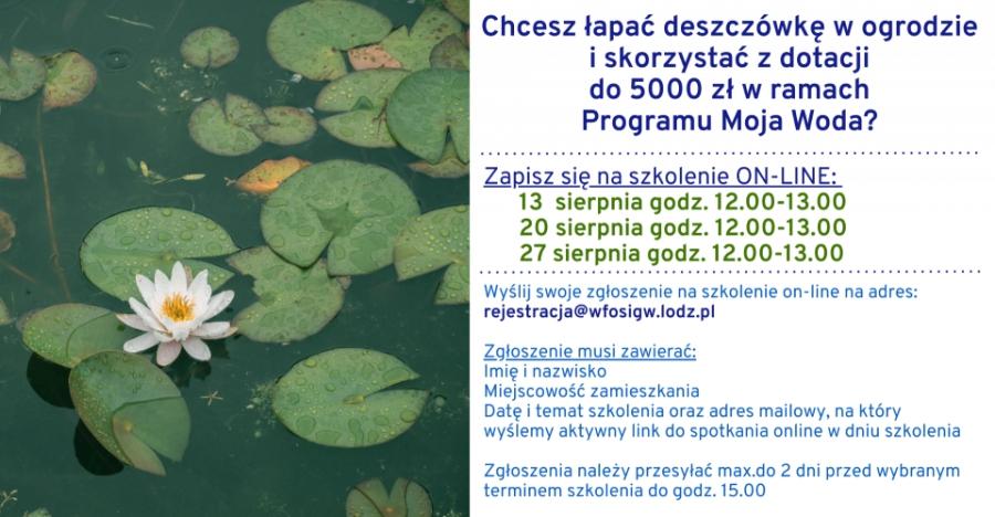 Szkolenia online w ramach programu 