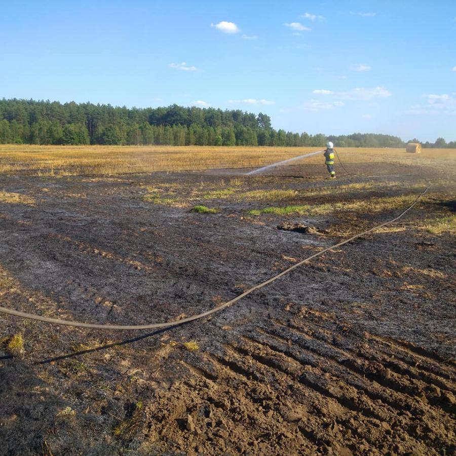 Pożar ścierniska w Pratkowicach. Zagrożony był las