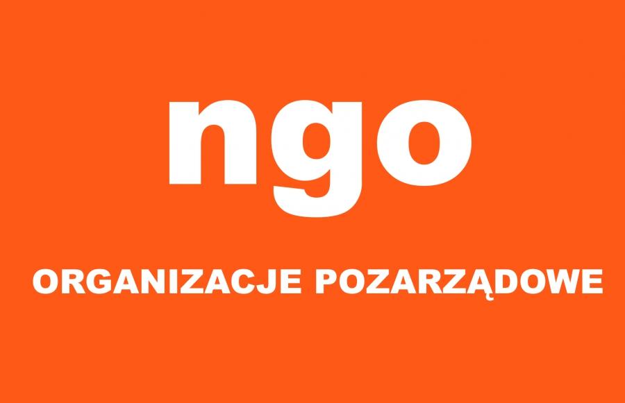 Współpraca miasta z organizacjami pozarządowymi w przyszłym roku
