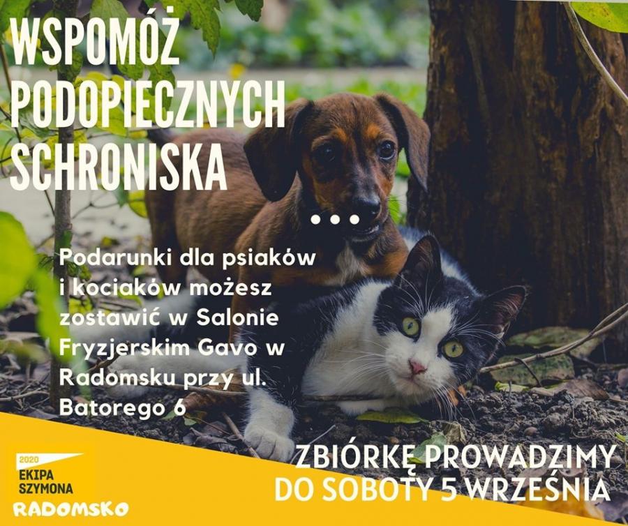 Ekipa Szymona z Radomska organizuje zbiórkę dla schroniska