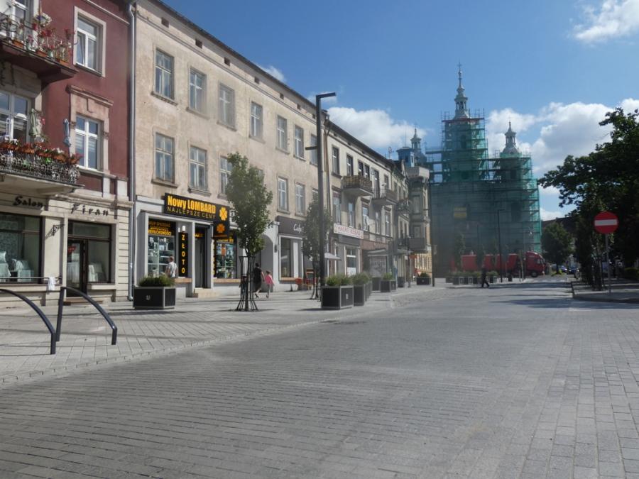 Dr Justyna Przewojska: Reymonta da się uratować. Trzeba tylko…