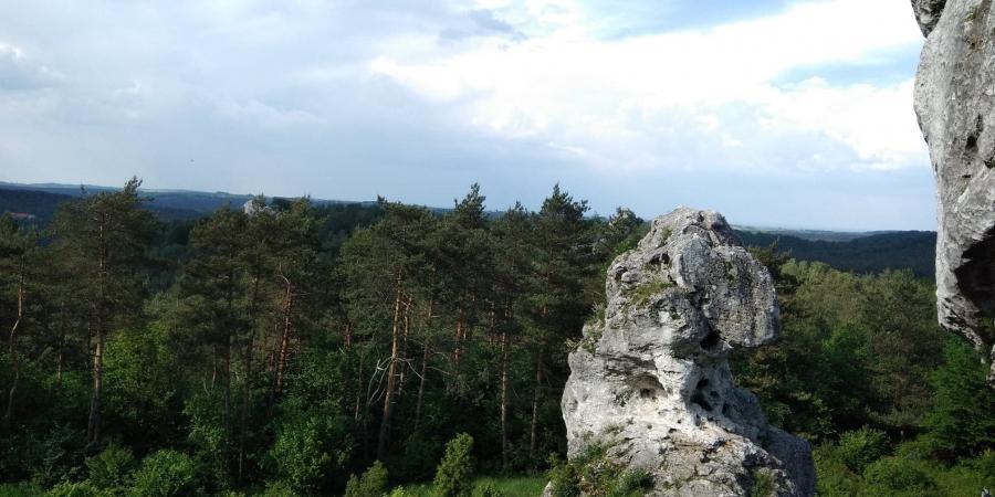 Najlepszy w Radomsku trekking z MOSiR-em: Skały Rzędkowickie