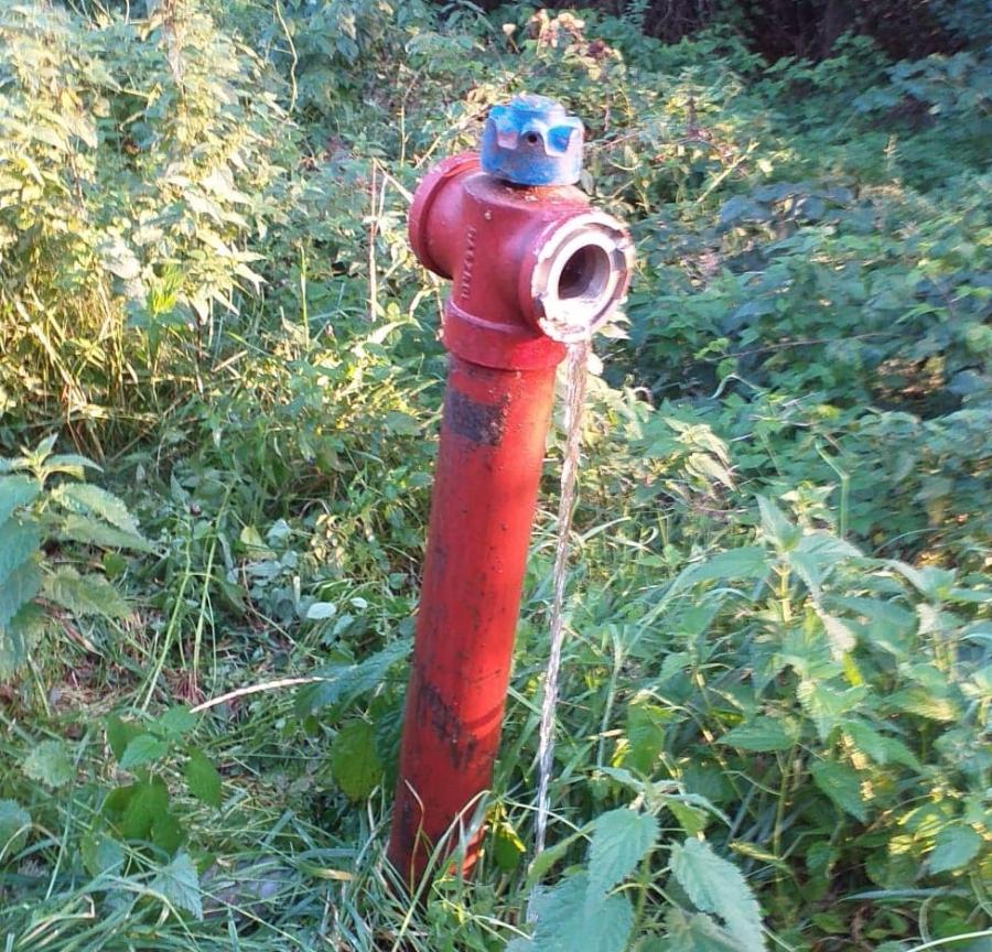 [WIDEO] Uszkodzony hydrant w miejscowości Klekotowe. Woda lała się kilka godzin