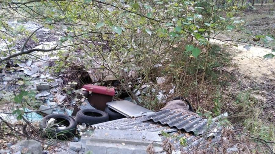 Za zaśmiecanie lasów w rok wystawiono u nas tylko cztery mandaty