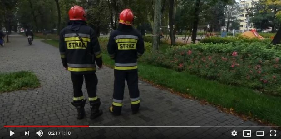 Strażacy usunęli konar pękniętej brzozy w parku Świętojańskim [oglądaj materiał TV]