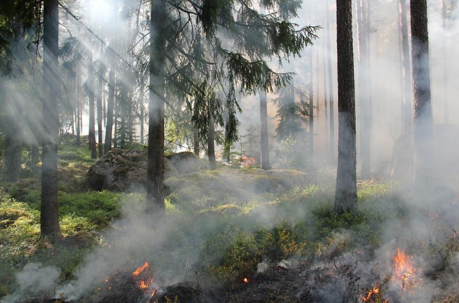 Urząd Wojewódzki ostrzega: dzisiaj PM10 w powietrzu przekroczy normy