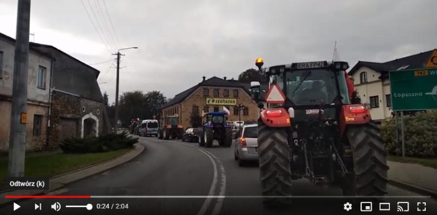 Rolnicy z Przedborza przeciw piątce dla zwierząt. Ciągnikami blokowali ulice [WIDEO]