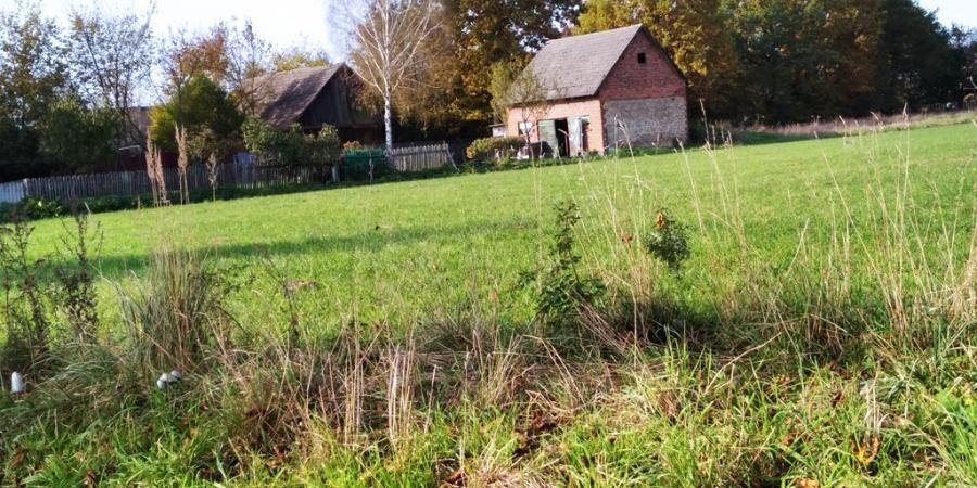 Wiejska zona: „Wcześniej nie wierzyłam w żadną epidemię. A teraz coraz bardziej