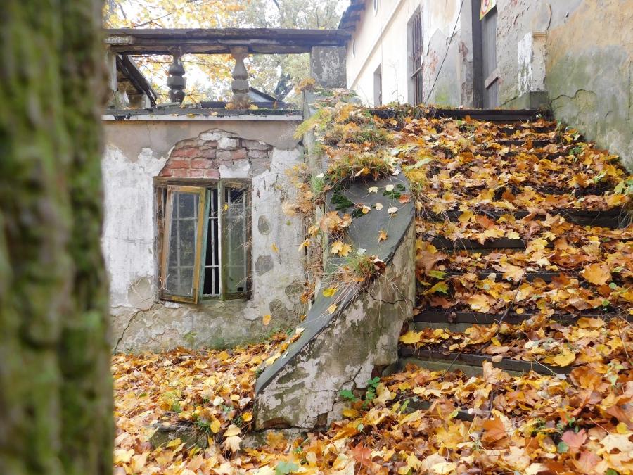 Kolejne warsztaty fundacji foto Pozytyw. W Niechcicach i rezerwacie w Jasieniu