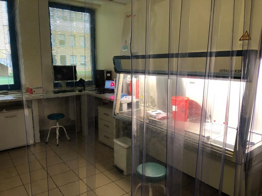 Koronawirus: spadek liczby zakażonych. Spadła także liczba ofiar epidemii