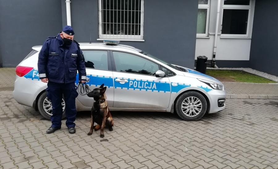 Nowy owczarek belgijski w radomszczańskiej komendzie. „Najpierw idzie na kurs