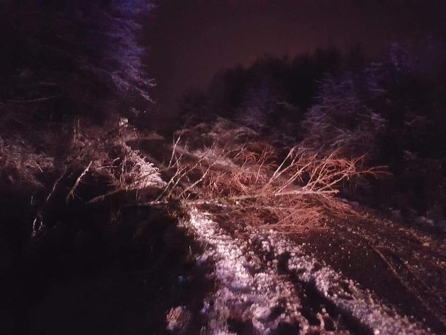 Uważajcie, trudne warunki na drogach. Dwa powalone drzewa, na szczęście bez kolizji