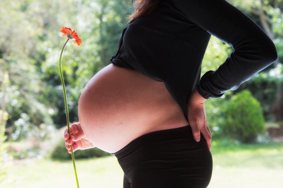Ogłoszono konkurs na realizację programu in vitro w mieście. Na trzy lata