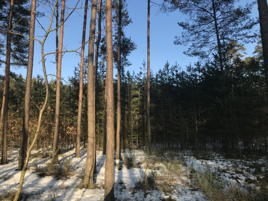 „Tu polować nie wolno
