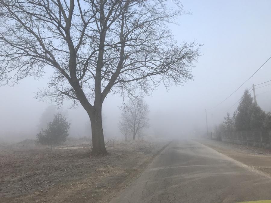 Przymrozek, mgła i ostre zimowe słońce. Dzisiaj szczególnie uważajcie za kierownicą