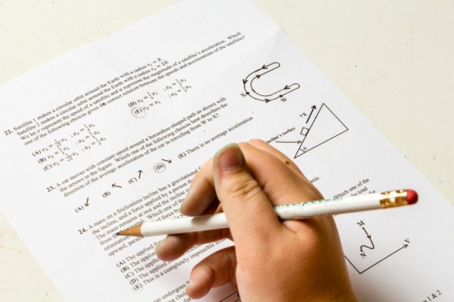 Do jakiej szkoły po podstawówce? Sprawdź ofertę edukacyjną Radomska