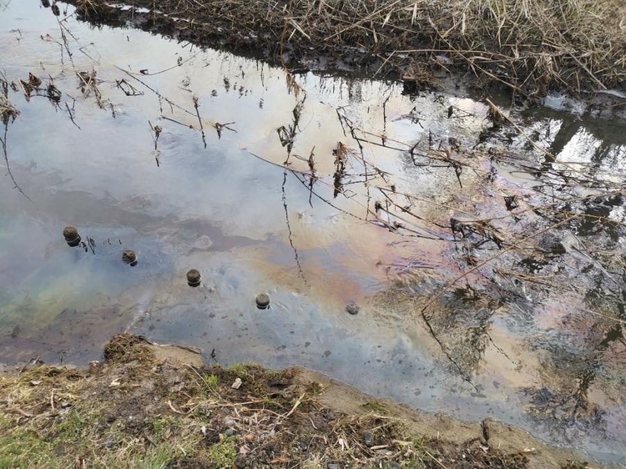 Na rzece Kamionce w gminie Kamieńsk wystąpiło zagrożenie chemiczno- ekologiczne