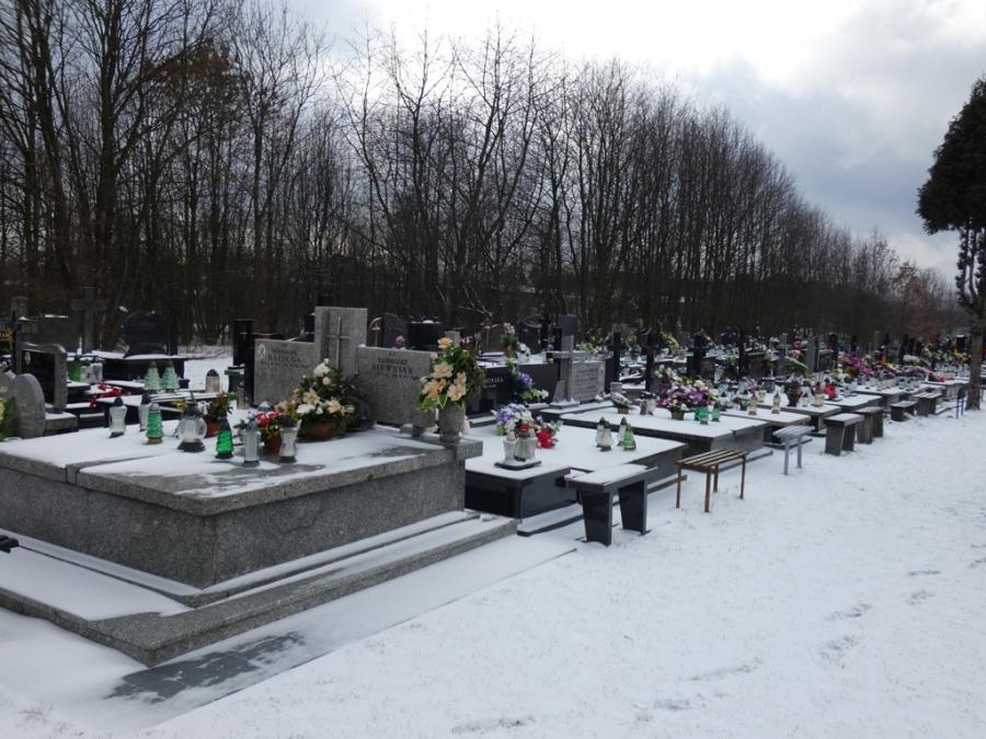 Wojewoda i posłanka chcą wyjaśnień ws. nielegalnego cmentarza w Radomsku