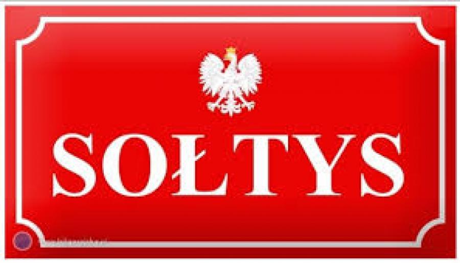 11 marca obchodzimy Dzień Sołtysa. To sołtys dba o swoją wieś