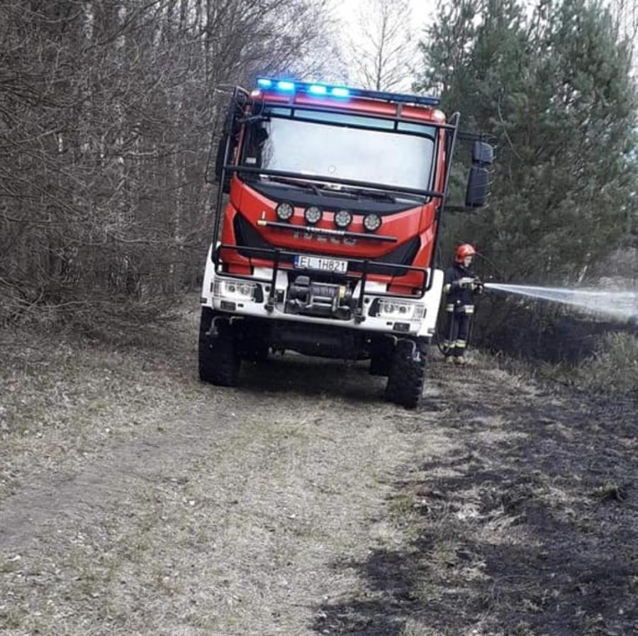 Pożar lasu na ul. Strzałkowskiej w Radomsku. W sobotę strażacy mają dużo pracy