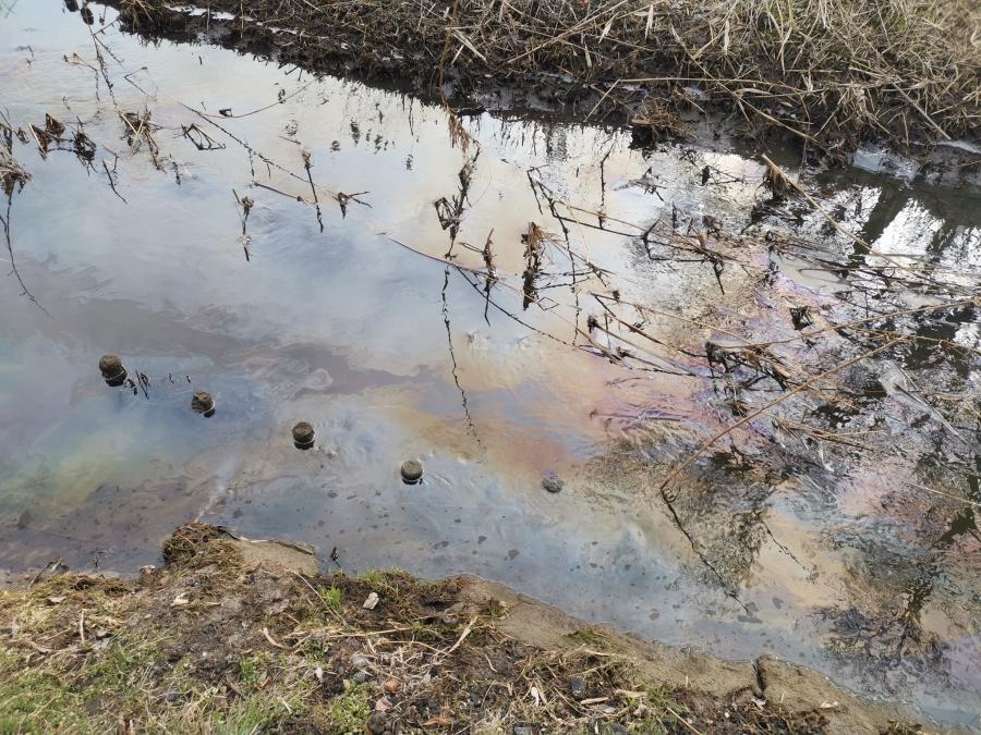 Znany jest sprawca zanieczyszczania rzeki Kamionki. Policja bada sprawę
